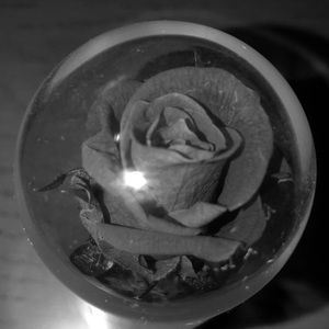 Meet your Posher, Sammah